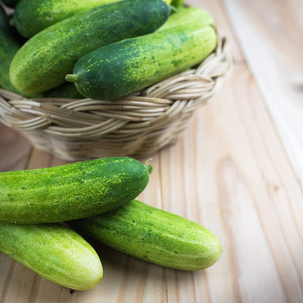 Cucumber for Gardening - Image 3